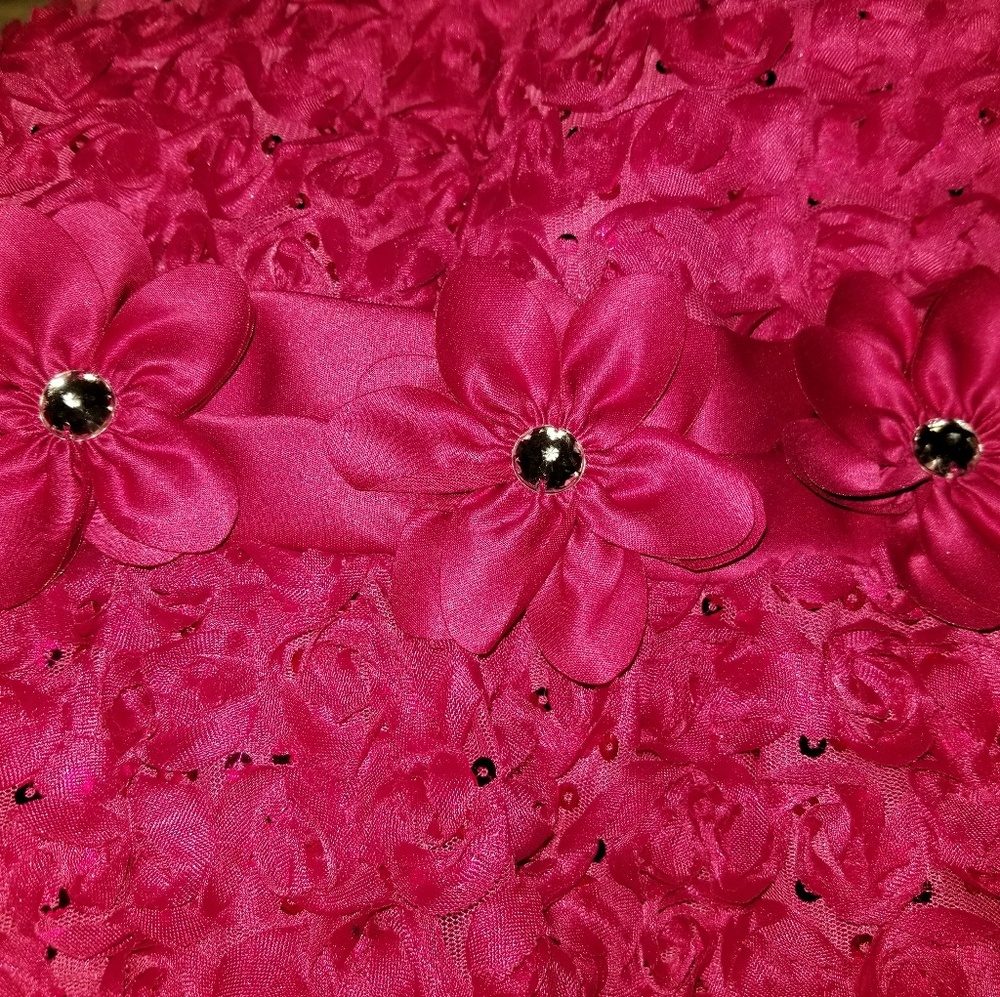 Girl's Formal Floral Fuchsia Dress Never Worn - Picture 5 of 5